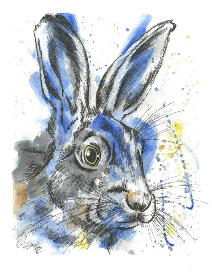 Rabbit - Painted Print